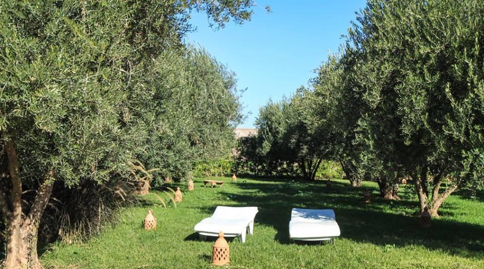 Riad Sidi Hicham Ouled Bouzid Kültér fotó